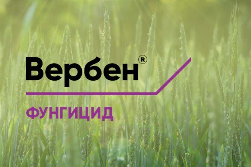 �����ͮ � ��-�����, ��-�����, ��-�������