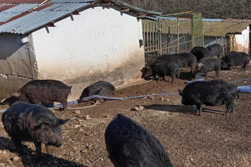 ������������������ ����� � ���������� ��������� ��� �������