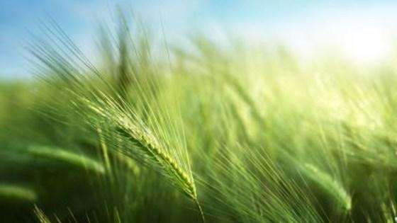 ��������� ������ �������� � ����� 5% �� �����