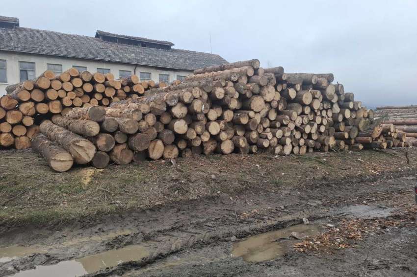 ������ 153 ���. � ��������� ��������� ���� ���� �����, ������ ����� � �������