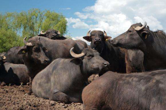 ��������� �� �������� �� ��������������� �������� �� ���� ���� 2026 �.