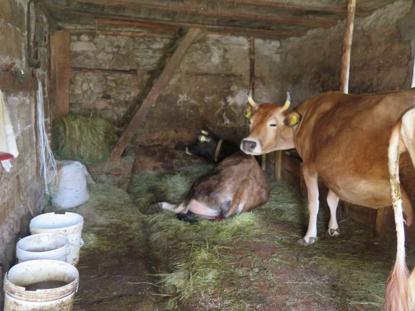 ������� ������� ������� ��������� �� ��������� ����������