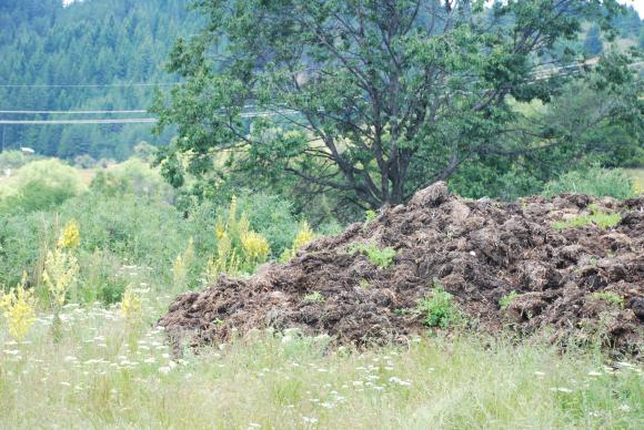 ������� �������� �� ��������� ������� ��� � ����������� ����