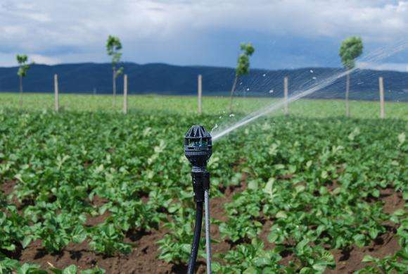 �������� �� �������������� � ����� ��������� ������������ � ������� �� 2 500 ����