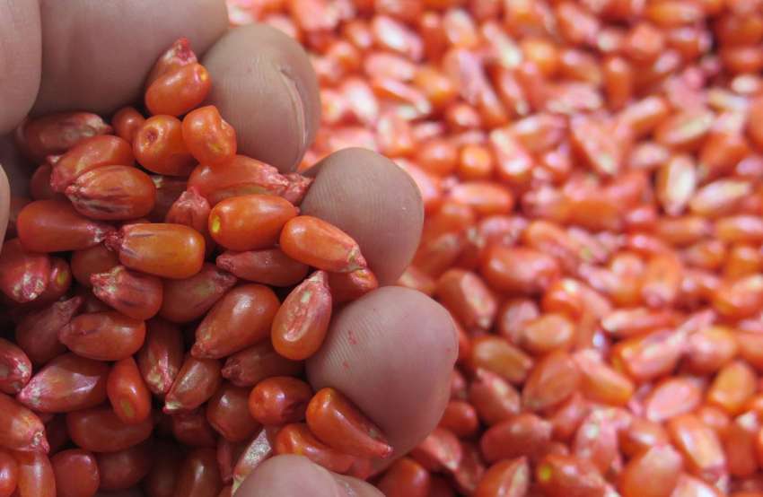 ���� 2025 ������ ������ � ��������� 1 351 000 ���� ������������� ������