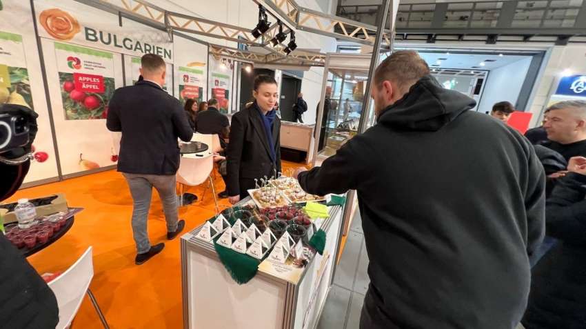 Добруджанската ябълка е призната като един от най-добрите плодове в Европа на Фрут Логистика