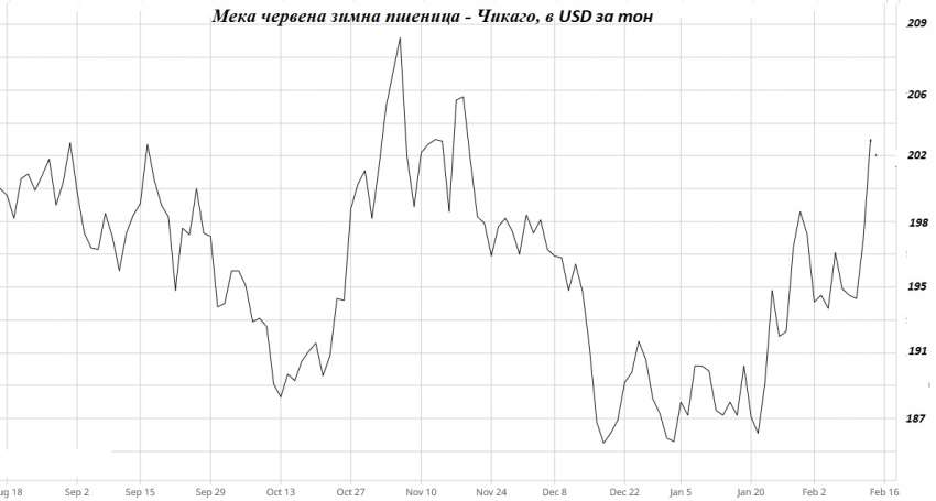 ���� �������