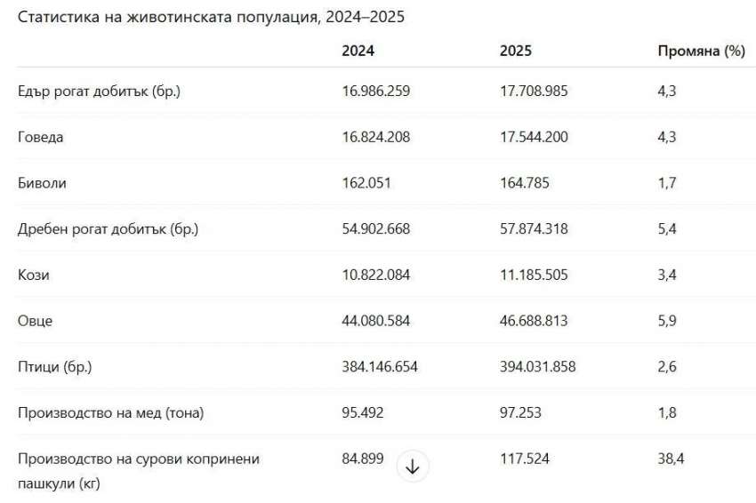 ������ ������ ���� �� ������������, �����, ������, ����, ���� � �����