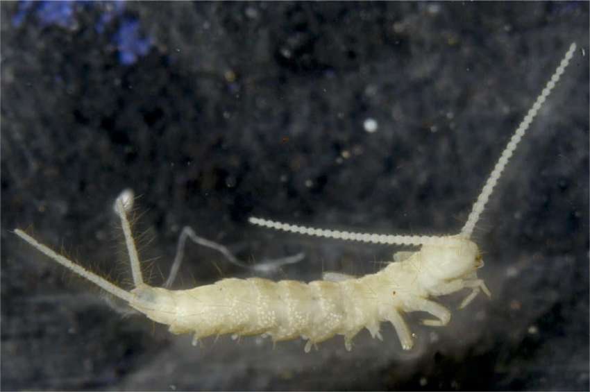 ����� ����� ��� ��������������� ������������� � ��������� �������