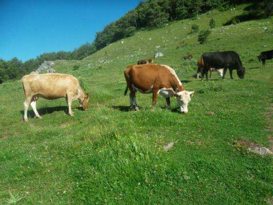 ����� �� ���������: ���� ������� �� ���������������� ���� 2026 �.