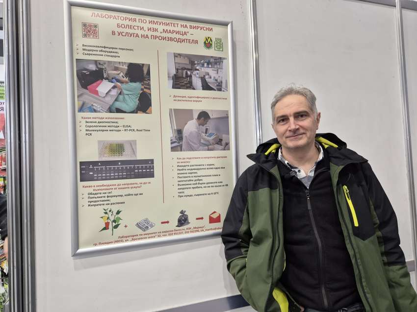 ���� ������ �� ���������: ��� ������ ������� ���������� � �� ����������� � ����� �������