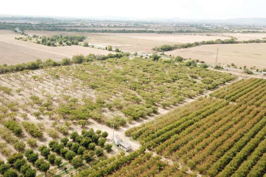 ����� ������� � ������� �� �������� �� �������� ������ �������� ������