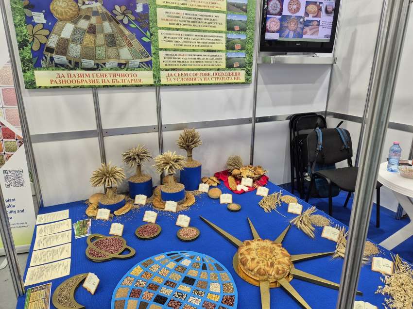 �� � �����: �� ���� � ������ ����������� ���������� �� ���� ������� � ������