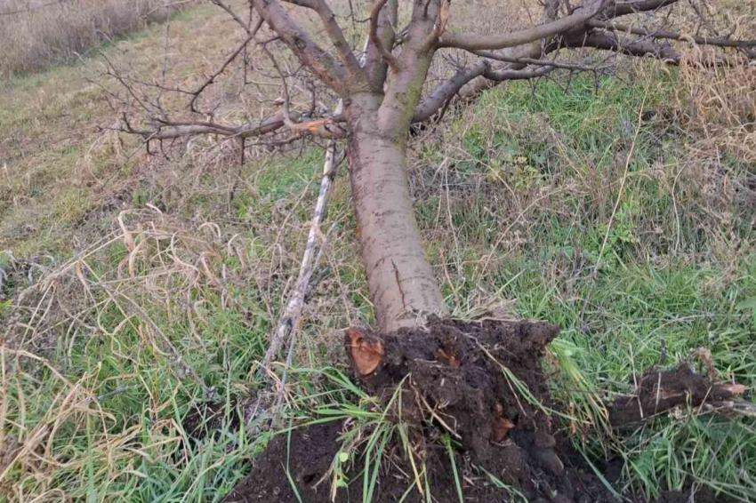 ���� ����� ����� ������� ������: ���������� ������� ��� �����, ������ � ������