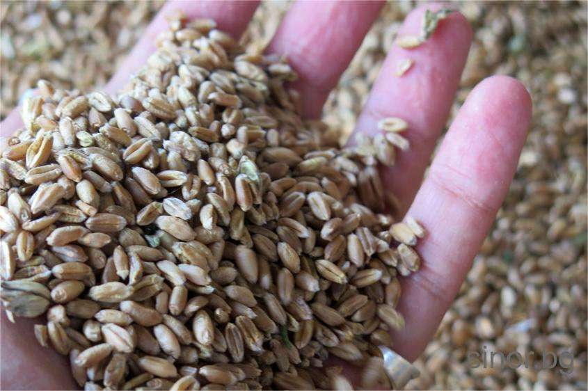 �������� ����� �� ��������� ������ �� �������� ������� �����