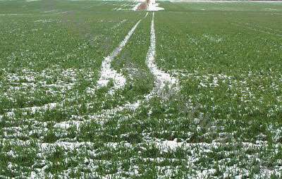 ������� � ��������� � ������������ �� ���������� ������� ��� ���������