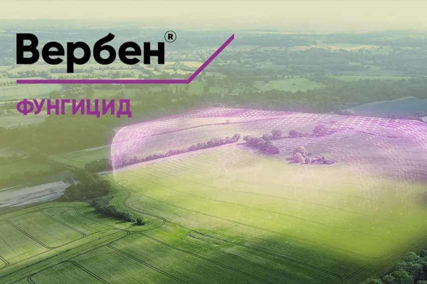 ��������! ��������! �������  � �������� �� ��������������� ������ � ����� �������