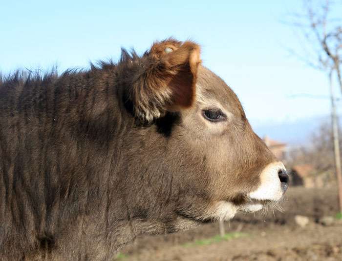 ����� ������ ������ �� ������� ������� � ���� ���� � ���� �������