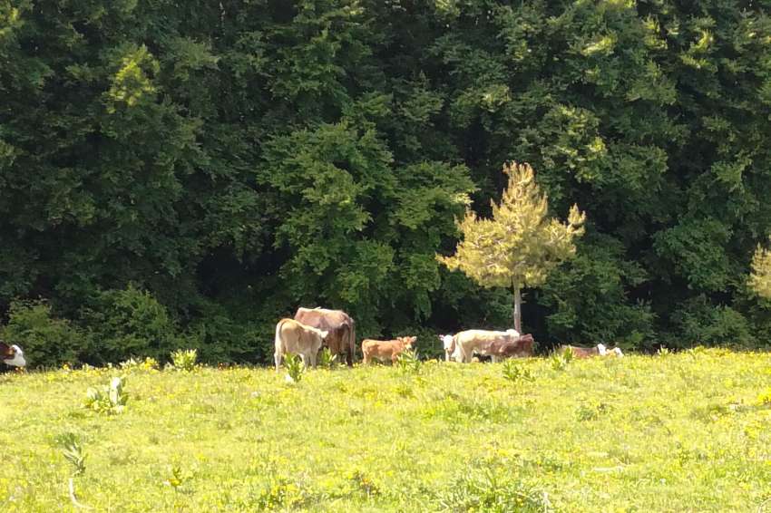 ������� ������� ������� �� �������������� � ��������� �� ������