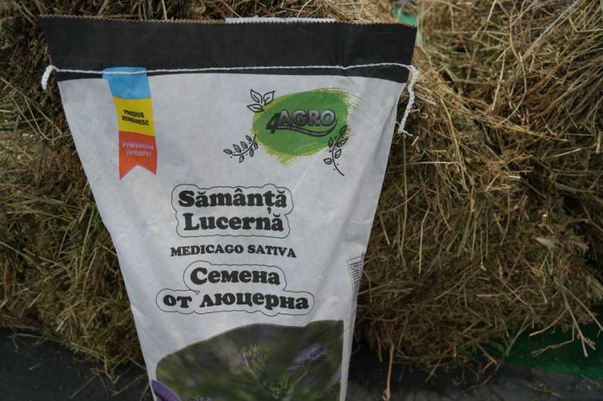 ���� �������