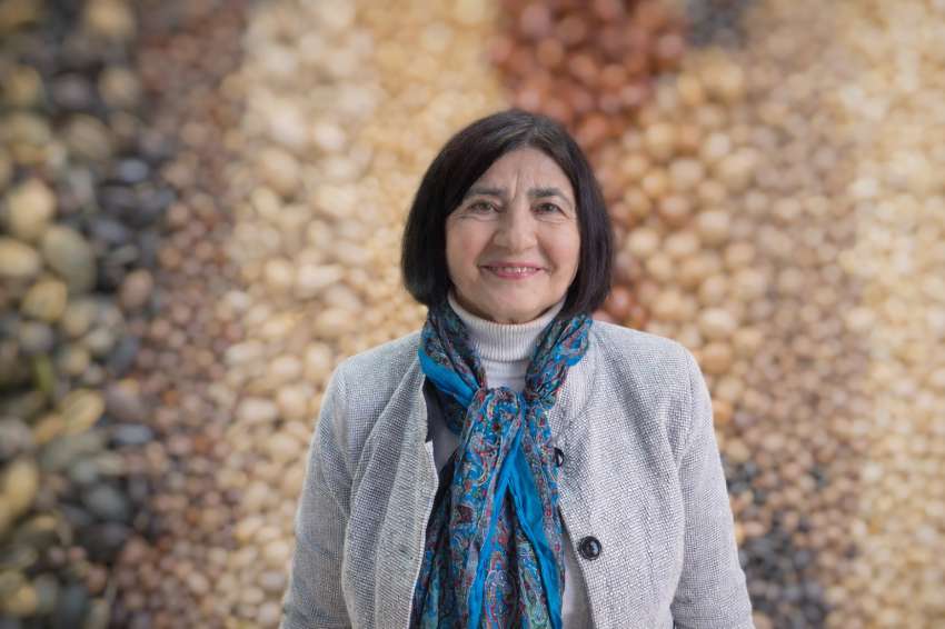 �������� �� ������� �������: �������� ������� ����� �� �������������������