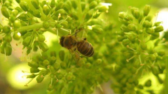 ��������� ���������� �� ���������: ������ �� ����������� ���� �� 50 �� 10 ������