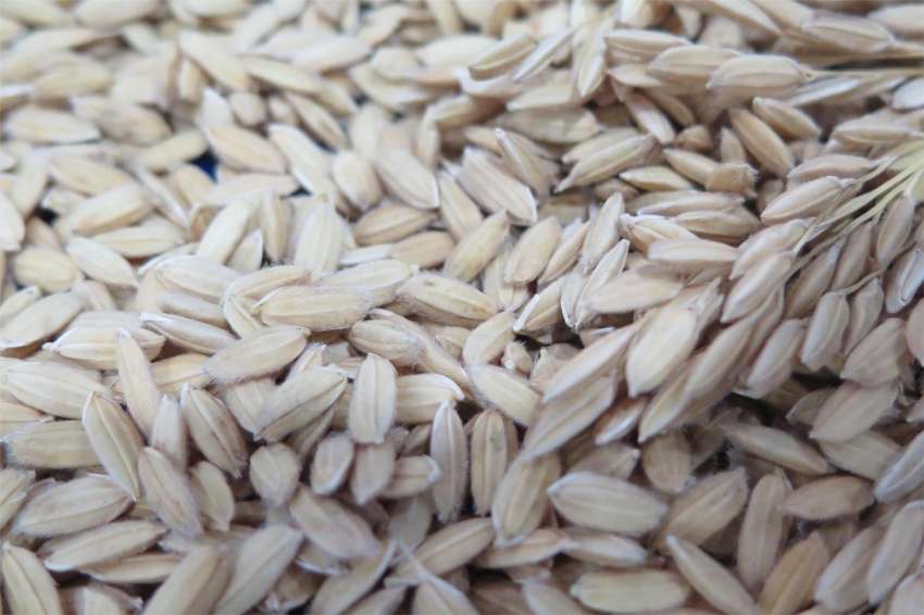 ������� ��������� �������� ��������� �� ������������ �� ����