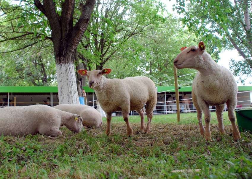 ������ �������� ������ ���������� ����� ������ ����� � �� 93 ���� �� ���������