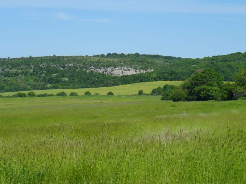 Биоживотновъдство 2026: Нови правила и по-малко администрация