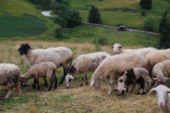 �������� ����� ������ ���� ����� ����������������� �� ����� ����� ��������