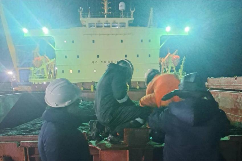 В аржентинския слънчоглед откриха в пъти над допустимото малатион и делтаметрин