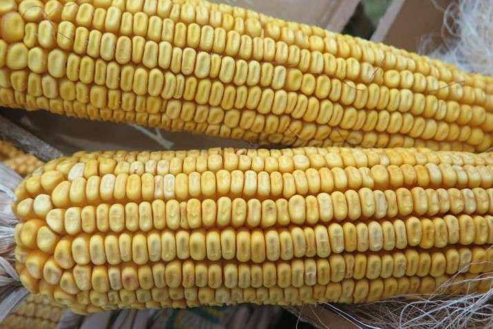 �������������� �� ����������� ������ � ������ ������� ���� 2025 ������ 