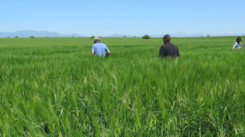 ООН: Над 1,1 милиарда души по света се страхуват, че ще загубят земята си