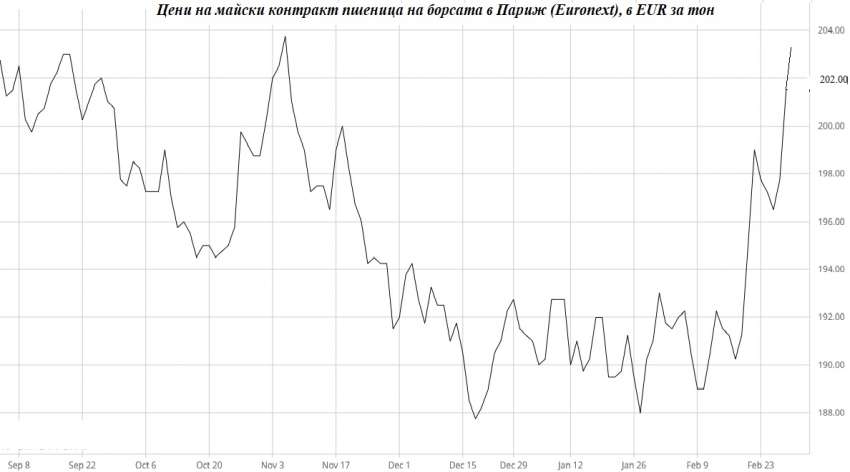 Цена пшеница