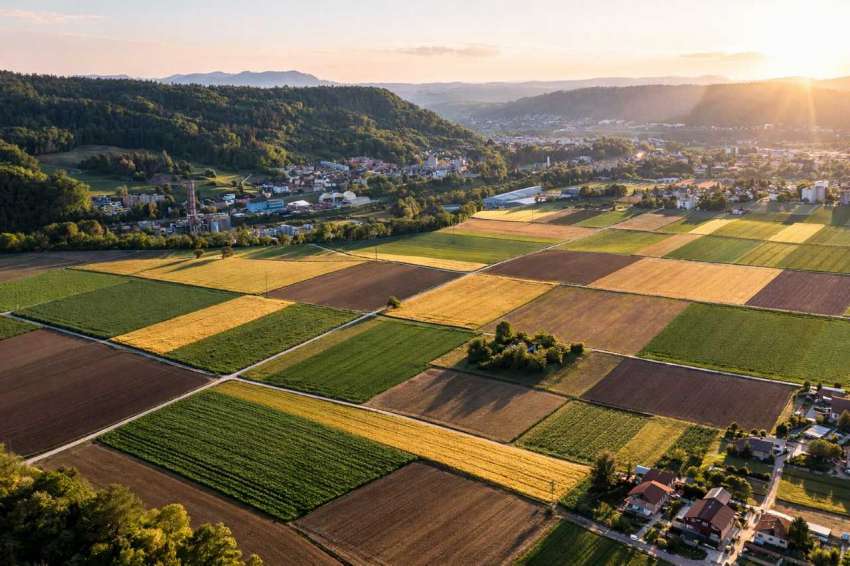 Фермерите наддават онлайн за земя на Агрион