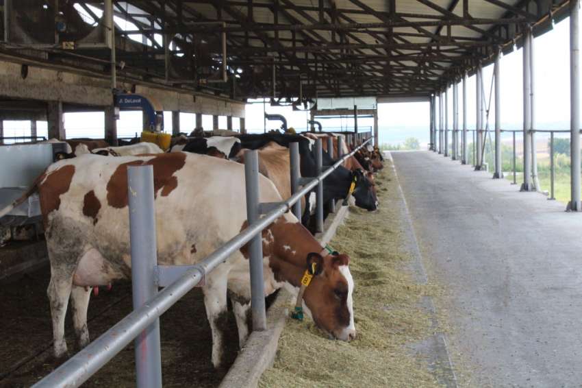 Осем въпроса към без отговор: Какво става със субсидиите и новата наредба?