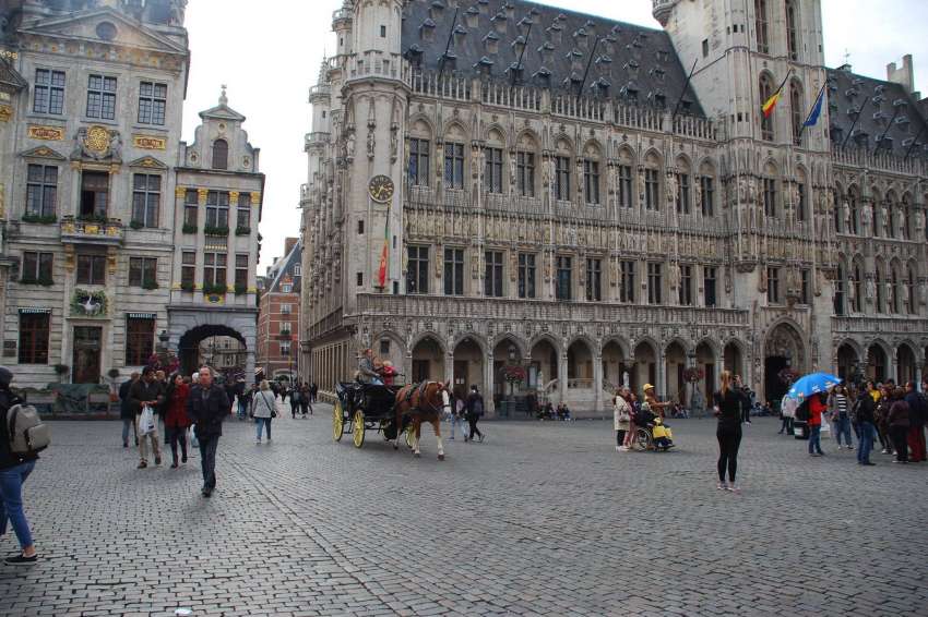 ������������ �����: ���������� �� �������� ��������� ����������� � ��