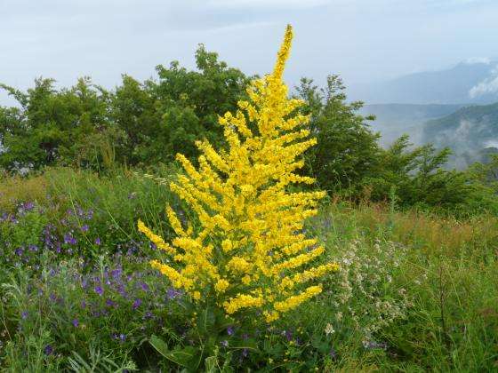 ����� 74 ��������� ����� ������ ������������ ���� ��������