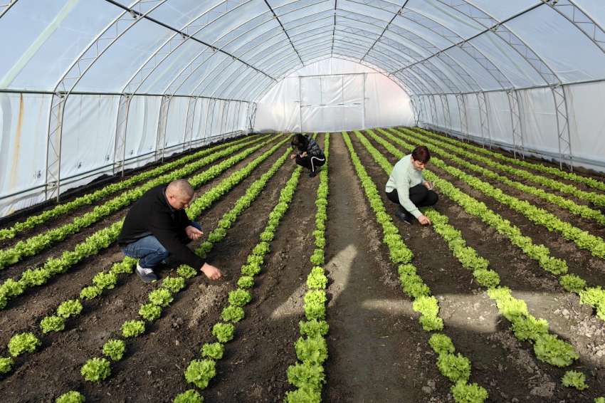 ������������ ����������� �� ���������� �������� �� ������ �� �������� 