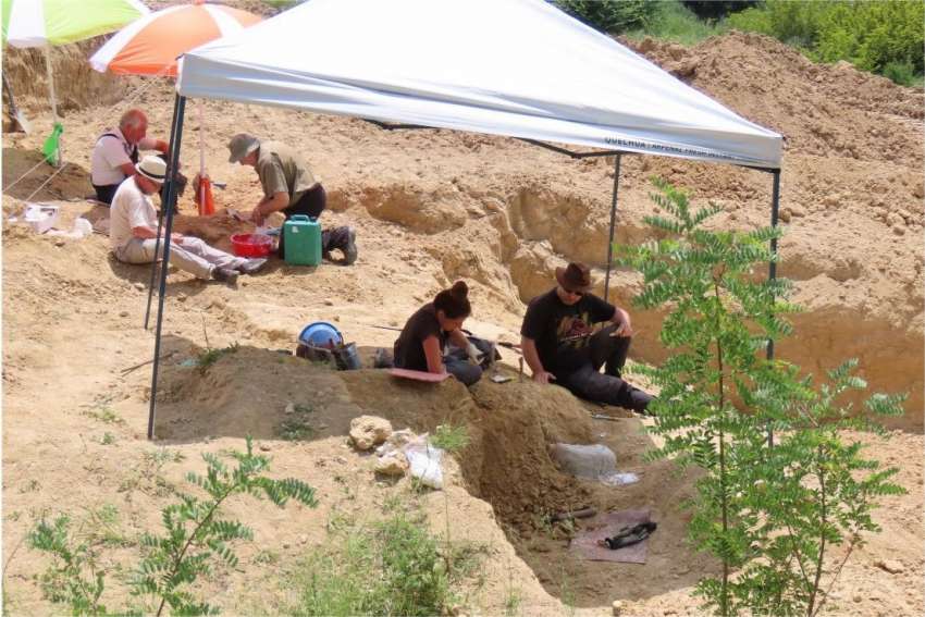 ���-������ ������� ���������� � �� ���������