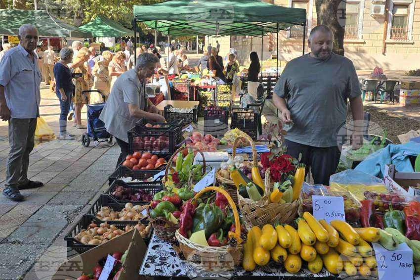 � ������ ���������  ��������� ��������� �� ��������