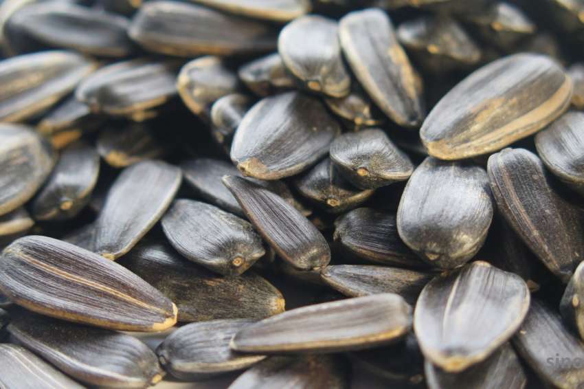 ����: � ������� ����� ����������� ���������� � � ���� ����������