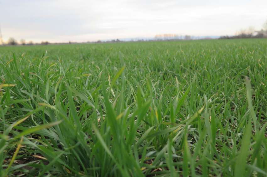 ������� �� ���������������: �������� �1 ��������� �� ������ ���������, ������ ����� � ������ ���������