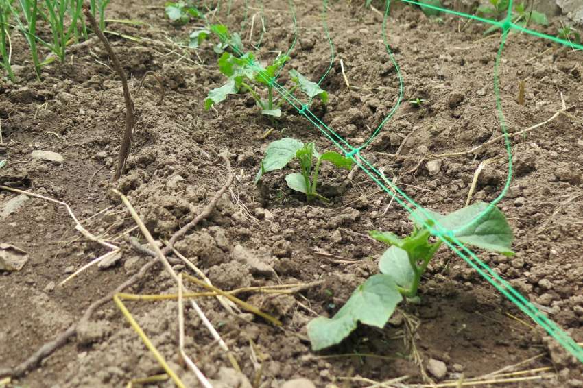 ������ �� �������������� - ����������� �������, �� ����������