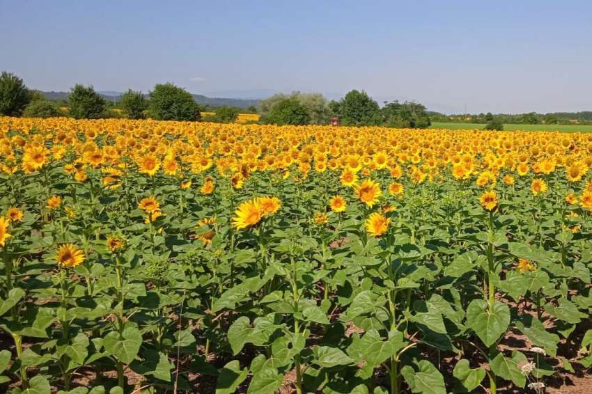 ��������������� �� ���� �������� ��������� �� �������� � ����� �� �������