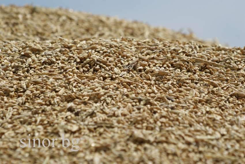 UNCTAD ������ ��-������ ���� �� ������� � �������� �����