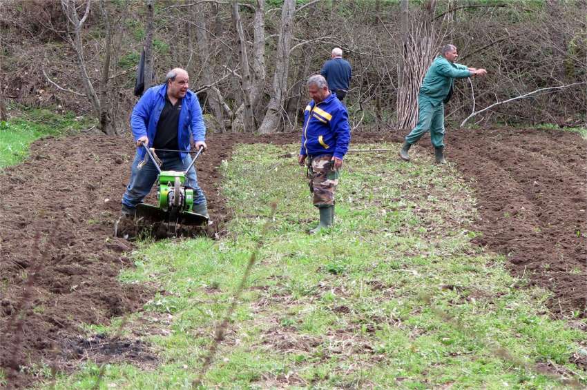 ������ �������� ���� ����� 210 ���. ���� �������� �� ���������