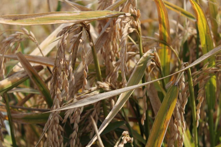 ��������������� �� ���� � �� �������������� �� �������� �����