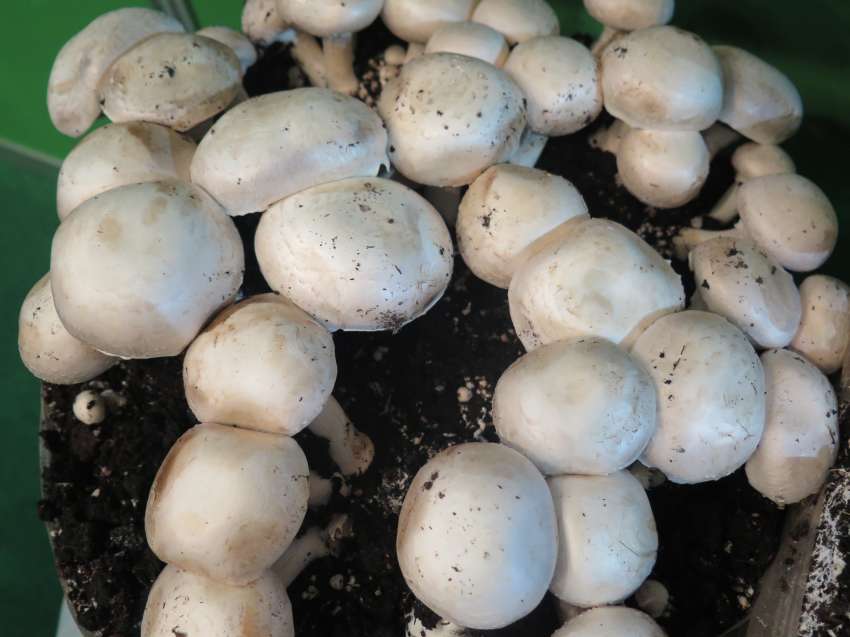 ������� �� ����������� ������� � �������� �� ��������� ��� ����� ����������� ���� �� �������