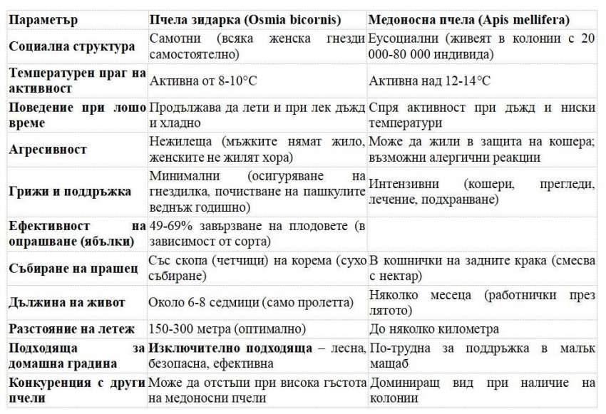 ����� �������